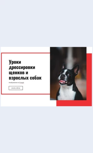 Dressirovkamaka Дрессировка мака Целевая страница Скин лендинга с редактором.
