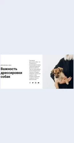 Dressirovkasobak Дрессировка собак Целевая страница Скин лендинга с редактором.