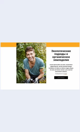 Integrirovannayasistemazemledeliya Интегрированная система земледелия Целевая страница Скин лендинга с редактором.