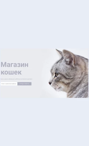 Magazinkoshek Магазин кошек Целевая страница Скин лендинга с редактором.