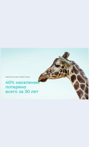 Nezakonnayaokhotabolshayaproblema Незаконная охота - большая проблема Целевая страница Скин лендинга с редактором.