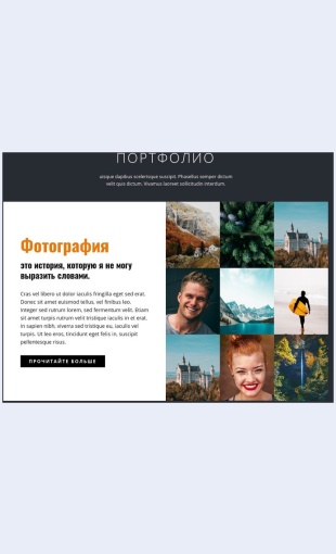 Portfolioprofessionalnoyfotografii Портфолио профессиональной фотографии Целевая страница Скин лендинга с редактором.