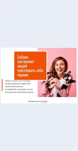 Sobakizastavlyayutlyudeychuvstvovatsebyakhorosho Собаки заставляют людей чувствовать себя хорошо Целевая страница Скин лендинга с редактором.
