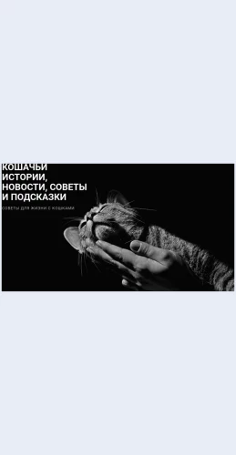 Sovetypoukhoduzazhivotnymi Советы по уходу за животными Целевая страница Скин лендинга с редактором.
