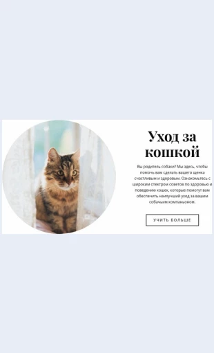 Ukhodzakoshkoy Уход за кошкой Целевая страница Скин лендинга с редактором.
