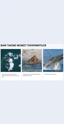 Vamtakzhemozhetponravitsya Вам также может понравиться Целевая страница Скин лендинга с редактором.