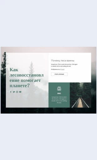 Vazhnostlesov Важность лесов Целевая страница Скин лендинга с редактором.