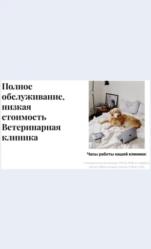 Veterinarnayaklinikapolnogotsikla Ветеринарная клиника полного цикла Целевая страница Скин лендинга с редактором.