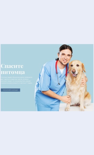 Veterinarnoezdravookhranenie Ветеринарное здравоохранение Целевая страница Скин лендинга с редактором.