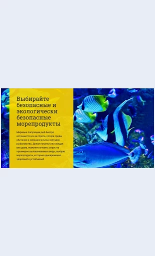 Vybiraytebezopasnyeekologicheskichistyemoreprodukty Выбирайте безопасные экологически чистые морепродукты Целевая страница Скин лендинга с редактором.