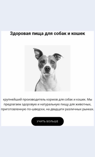 Zdorovoepitaniedlyasobaki Здоровое питание для собаки Целевая страница Скин лендинга с редактором.