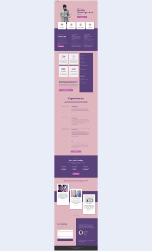 Softwaredeveloper Software developer Landing Page Скин лендинга с редактором.