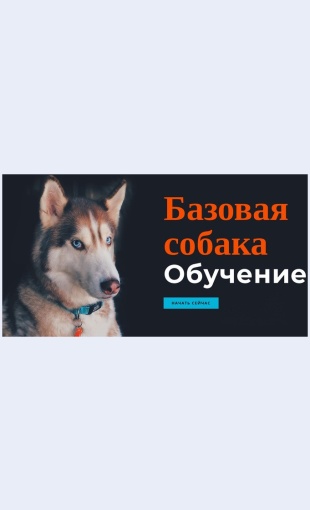 Onlaynakademiyadressirovkisobak Онлайн-академия дрессировки собак Целевая страница Скин лендинга с редактором.