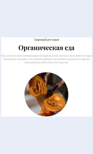 Organicheskoekafe Органическое кафе Целевая страница Скин лендинга с редактором.