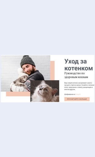 Ukhodzakoshkoy Уход за кошкой Целевая страница Скин лендинга с редактором.